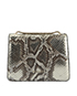 Bulgari Metallic Bag, back view